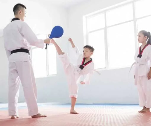 Der moderne Kampfsport