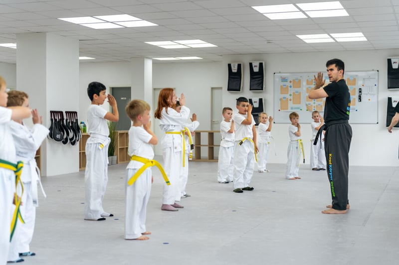 Kampfsportschule für Kinder ab 2 Jahren, Jugendliche und Erwachsene in Bonn Endenich und Sankt Augustin