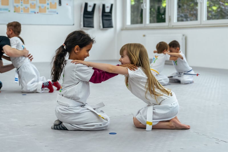 Kampfsportschule für Kinder ab 2 Jahren, Jugendliche und Erwachsene in Bonn Endenich und Sankt Augustin